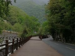 -陕西省红河谷森林公园