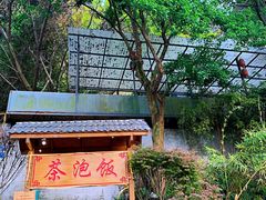 -茶泡饭(李子坝店)