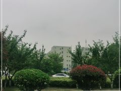 -鸡鸣汤包(复地活力广场店)
