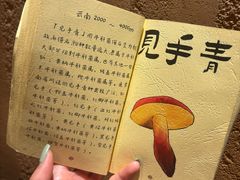 -滇野云南野生菌餐厅(陕西南路店)