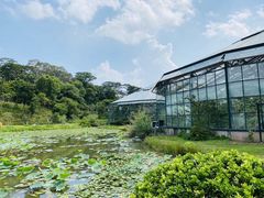 -华南国家植物园-售票处