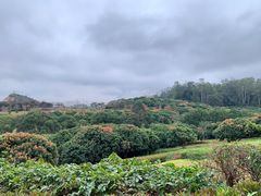 -东莞植物园