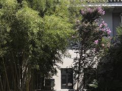 -武汉大学图书馆·文理学部总馆