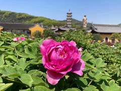 -灵山胜境