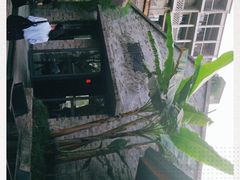 -铜锣湾·有麝自然香(重庆新天地店)