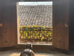 -尧坝古镇