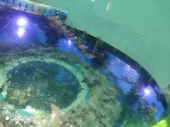 -临沂极地海洋王国