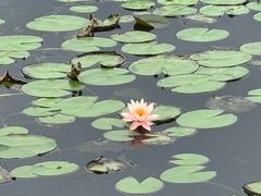 -白鹭湾湿地公园