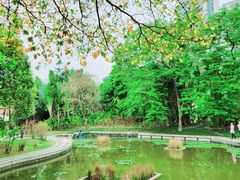 -深圳国际园林花卉博览园