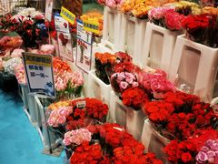 -盒马X会员店(上海森兰商都店)