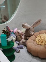 -薇薇安花系SPA