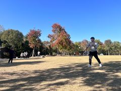 -上海海湾国家森林公园