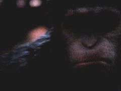 -横店电影城(王府井店)