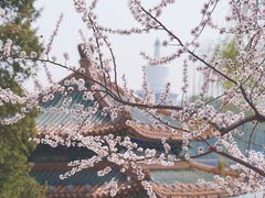 -北海公园