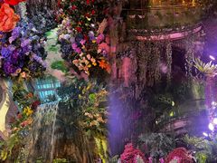 -正佳雨林生态植物园