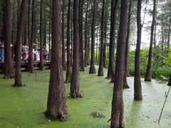 -云龙湖旅游景区