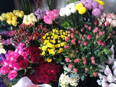-万商花鸟市场