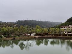 -桃源咖啡厅(武夷山大红袍山庄店)