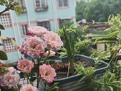 -又见炊烟私房菜(敬亭路店)