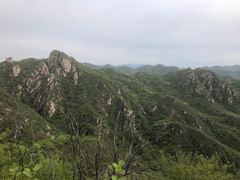 -大岭沟猕猴桃谷风景区