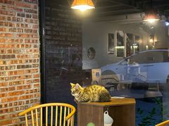 -豆逗聊愈猫阁Easy Life