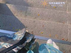 -深圳仙湖植物园