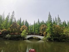 -东平国家森林公园