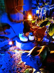 -恐龙探索乐园(磁器口店)