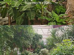 -石家庄市植物园