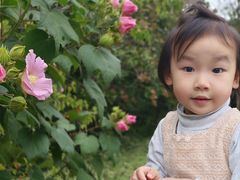 -昆山城市生态森林公园