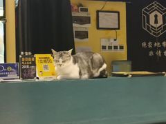 -谜盒子奇幻密室(南屏店)