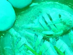 -渔码头食府·20年蓬莱老字号(登州路店)
