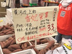 -秀丽东方