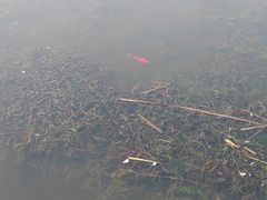 -前关湿地公园