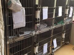 -创凡宠物医院·骨专科  猫科中心(西乡分院)