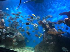 -多彩贵州城极地海洋世界