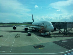 A380-新加坡航空公司(ION)