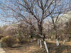 -长白岛森林公园