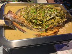 酸菜味烤鱼-鱼非鱼(徐家汇店)