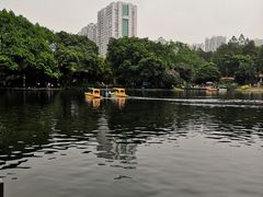 -晓港公园