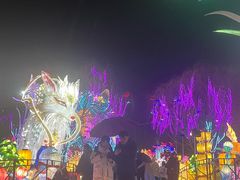 -淄博花灯齐彩城