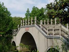 -尚贤河湿地