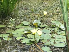 -阿哈湖国家湿地公园