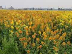 -中国天府农业博览园