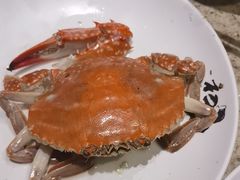 -初色海鲜自助(万丰路店)