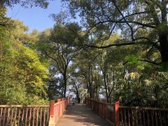 -南山植物园