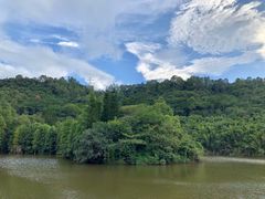 -滴水岩森林公园