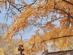 -青岛崂山太清宫