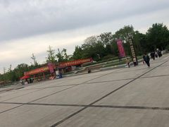 -曹州牡丹园