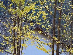 -太湖源风景区